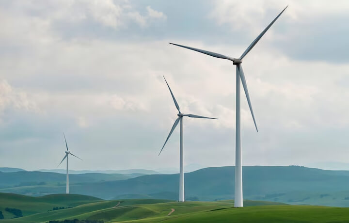 Sustainability in Action